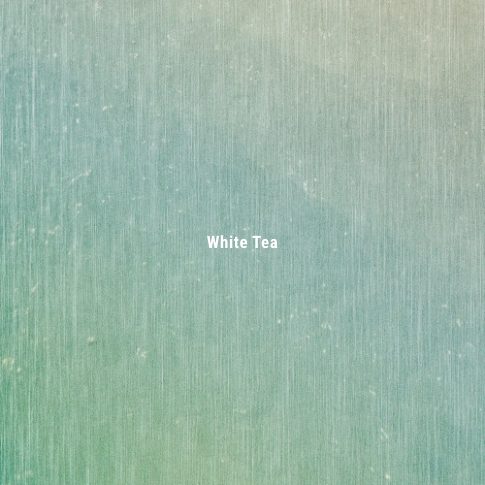 APFR|日本線香 White Tea - 白茶