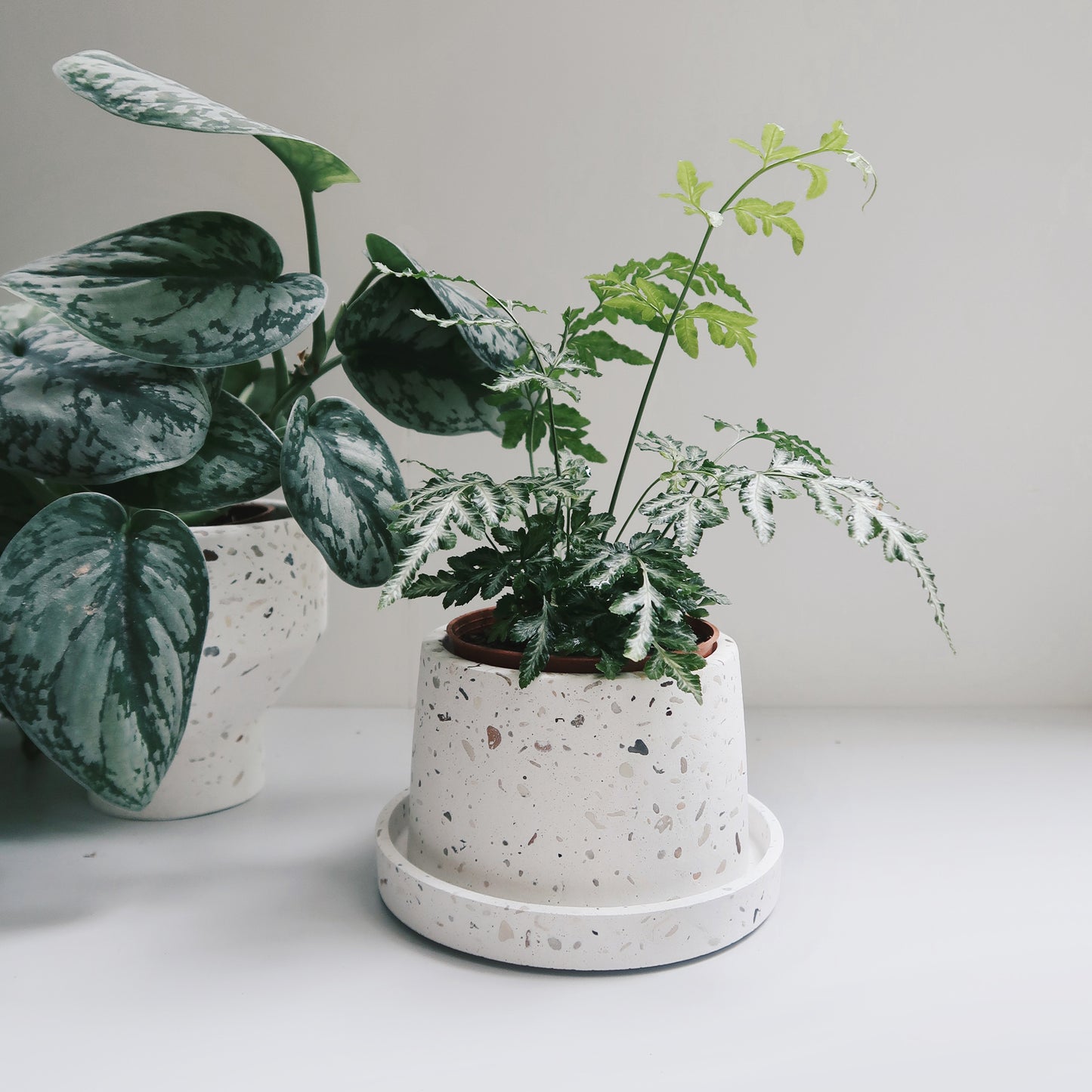 TERRAZZO 磨石子|暮色極簡梯形水泥盆器・花盆・花器