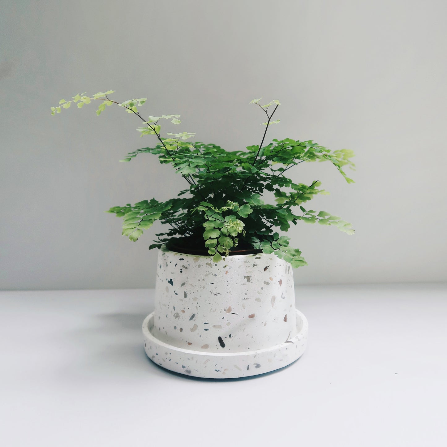 TERRAZZO 磨石子|暮色極簡梯形水泥盆器・花盆・花器