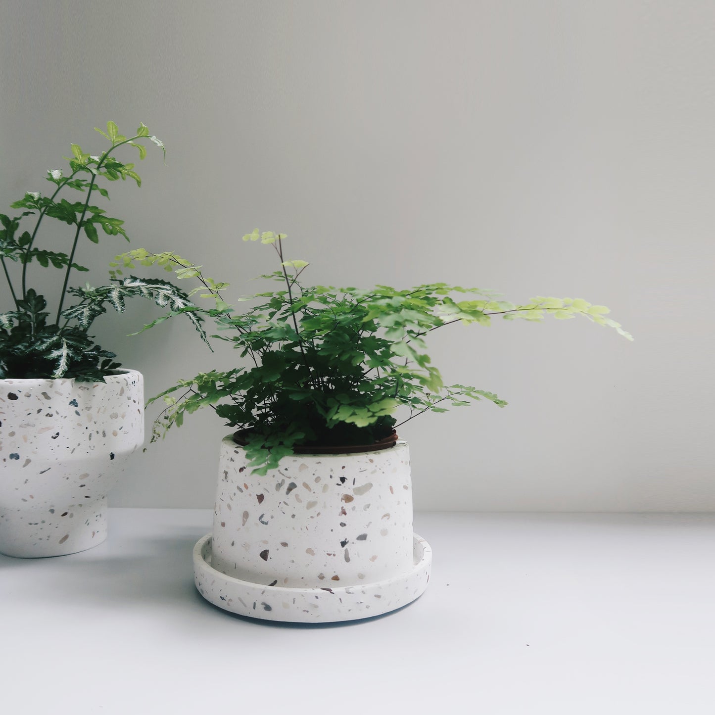 TERRAZZO 磨石子|暮色極簡梯形水泥盆器・花盆・花器