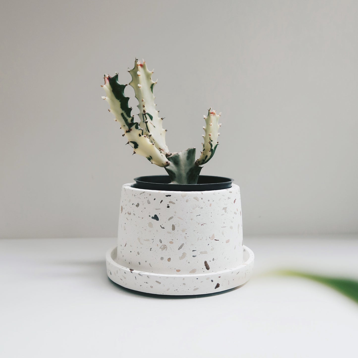 TERRAZZO 磨石子|暮色極簡梯形水泥盆器・花盆・花器