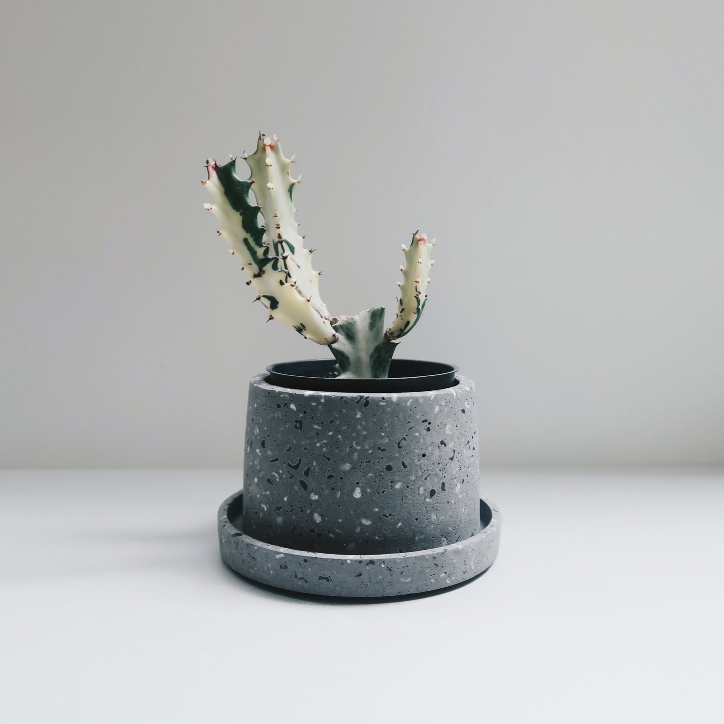 TERRAZZO 磨石子|煙灰極簡梯形水泥盆器・花盆・花器