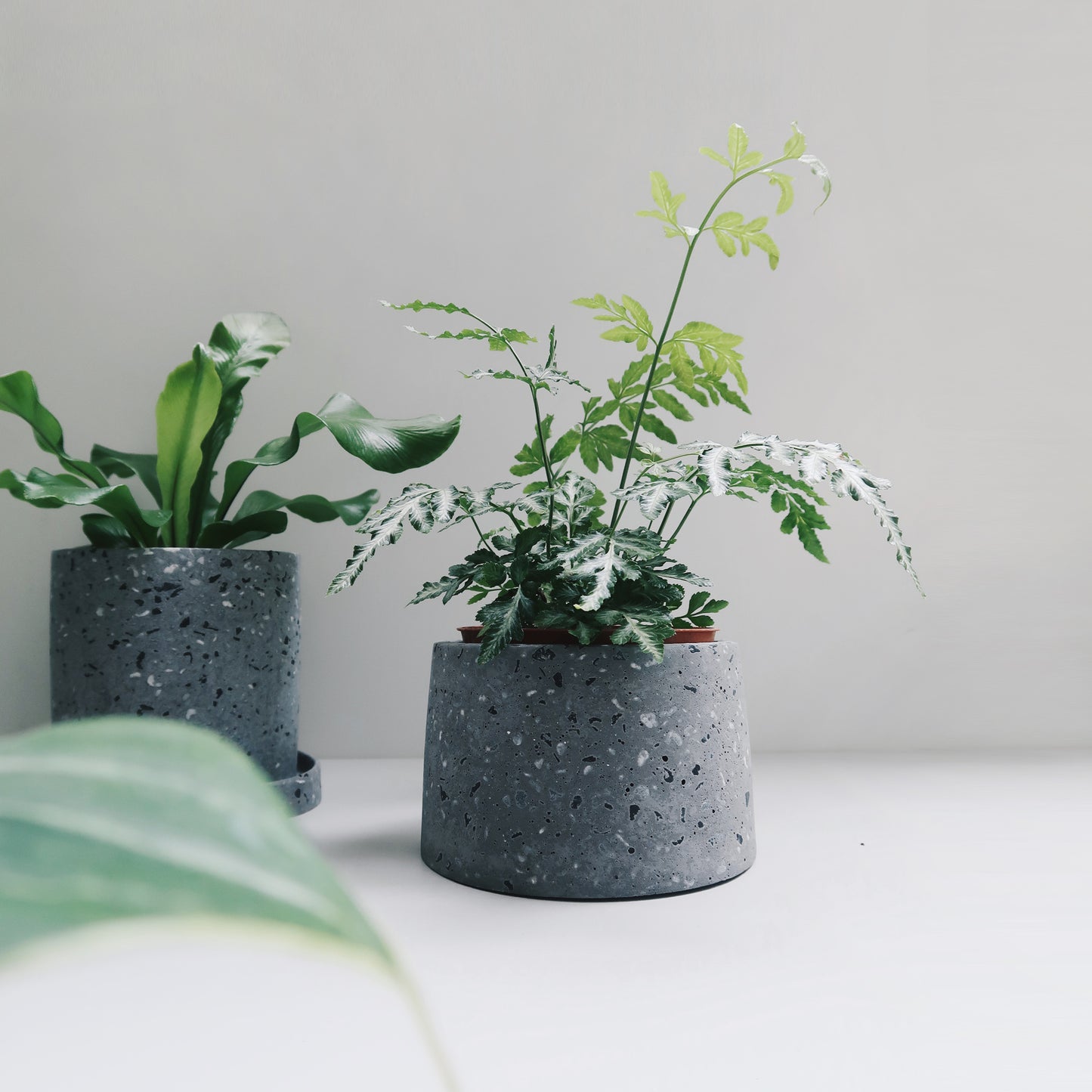 TERRAZZO 磨石子|煙灰極簡梯形水泥盆器・花盆・花器