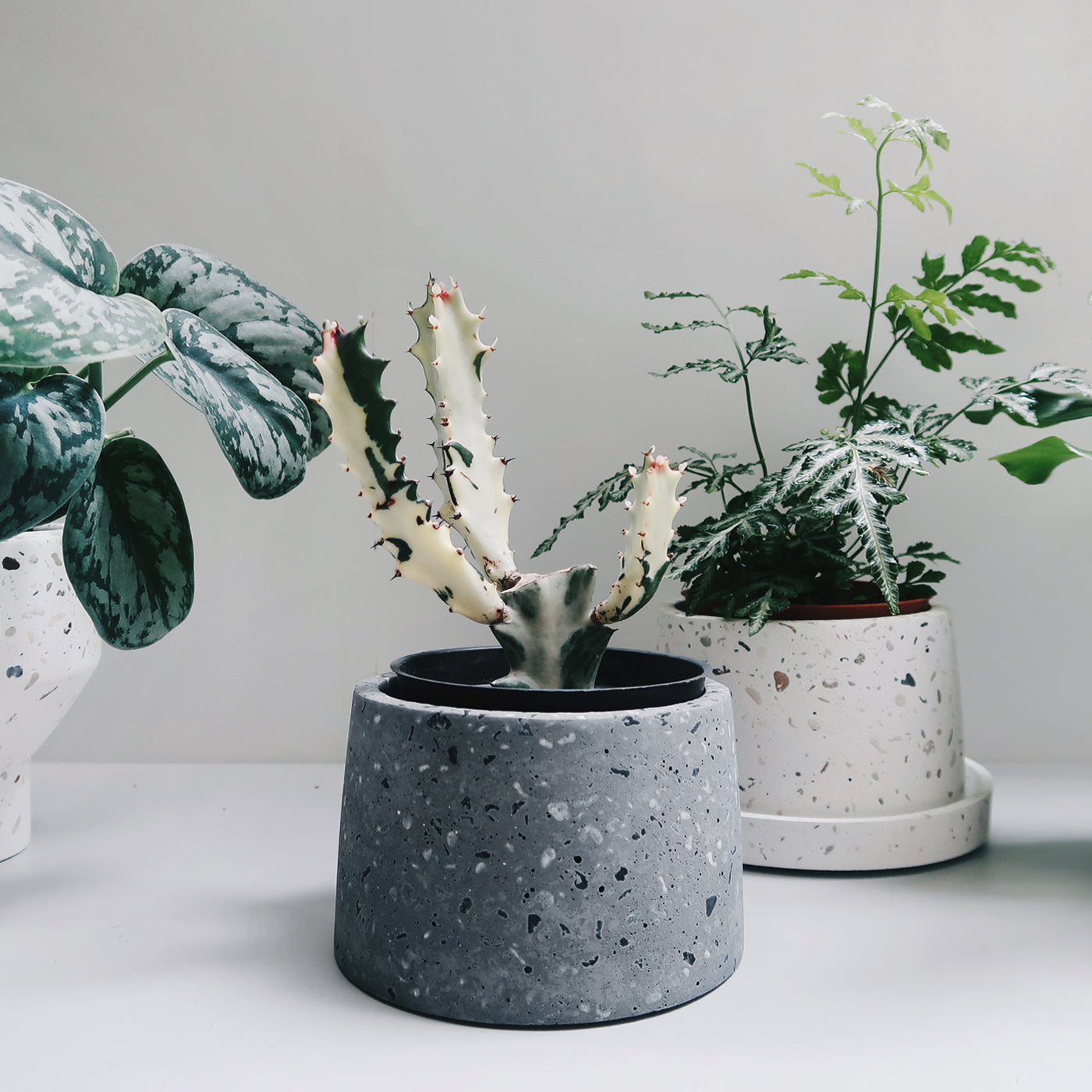 TERRAZZO 磨石子|煙灰極簡梯形水泥盆器・花盆・花器